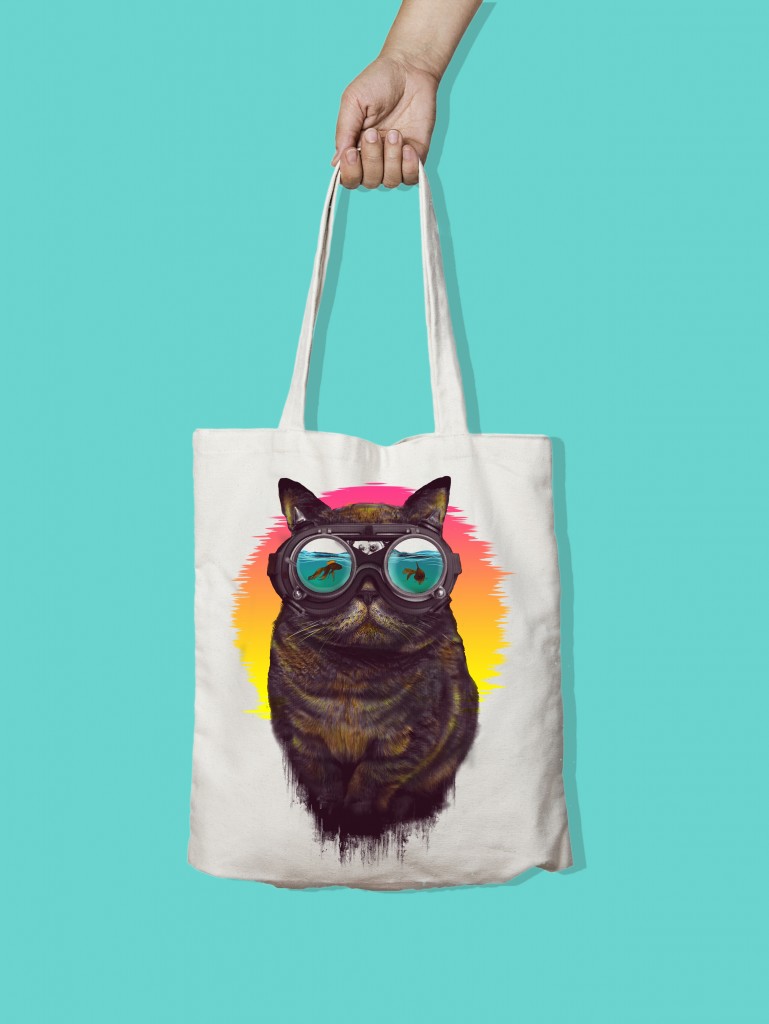 gato5